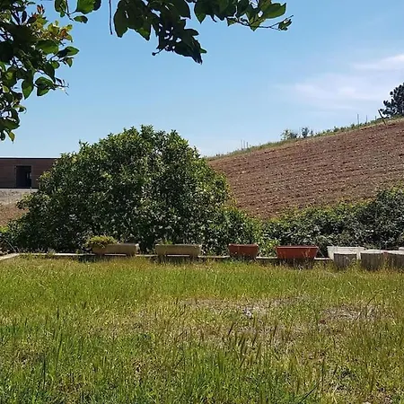 T3 En Rez De Jardin D'une * Ghisonaccia