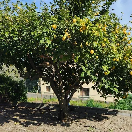 T3 En Rez De Jardin D'une