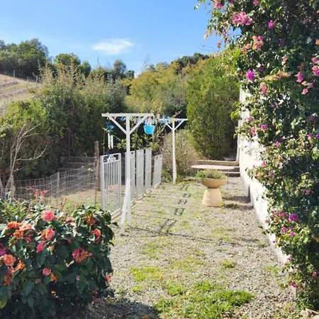 Apartment T3 En Rez De Jardin D'une *