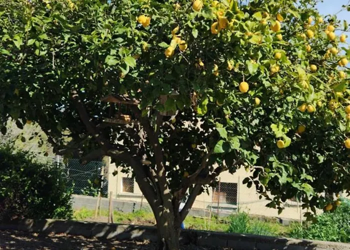 T3 En Rez De Jardin D'une